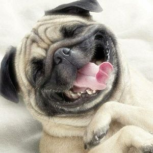 Meet your Posher, Trisha